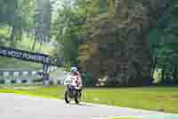 White Bikes